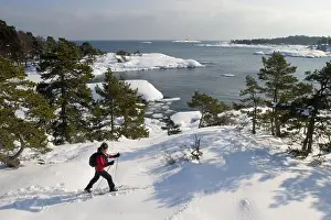 Swedish Prints: A person skiing in the archipelago of Stockholm, Sweden