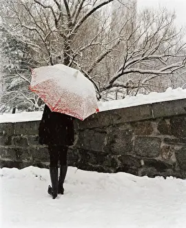 A person with an umbrella up walking along a path in a city park