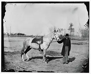 1861 1865 Prints: Petersburg, Virginia. Lieutenant Vane and horse