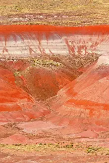 Geological Prints: Petrified Forest National Park is in northeastern Arizona