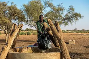 Senegal Prints: Peul cattle herder fetching water from a well. Senegal