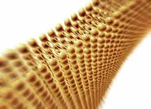 Protein Prints: Phospholipid bilayer. Computer artwork of the phospholipid bilayer that forms the membrane around all living cells