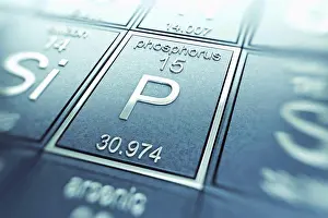 Metallic Prints: Phosphorus (Chemical Element)