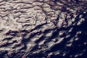 Body Of Water Prints: Detail photo of an avocado skin. Brown textured skin of an avocado fruit