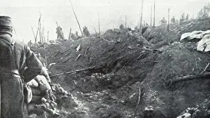 Trench Prints: Photograph of French Soldiers in the Trenches and bomb craters in a destroyed forest during combat in World War One