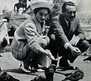 Anne Prints: Photograph of Shirley Anne Field and Macdonald Carey in London promoting The Damned