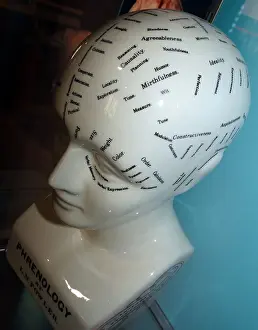 Link Prints: Phrenology is a pseudoscience primarily focused on measurements of the human skull
