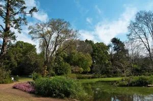 The Pietermaritzburg Botanical gardens were established in the early 1870s