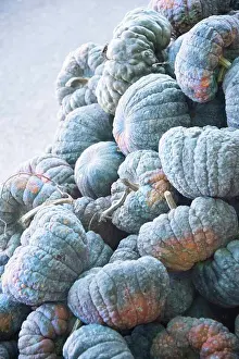 Frosty Prints: Piles of Pumpkins at the Farmers Market