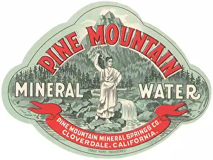 Assorted Prints: Pine Mountain Mineral Water Label