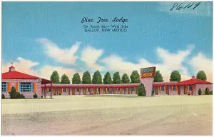 Pine Tree Lodge, on Route 66 -- West side