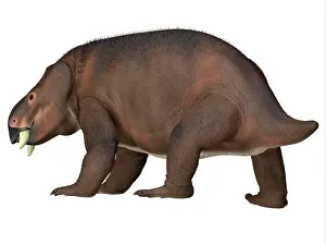Toughness Prints: Placerias dinosaur