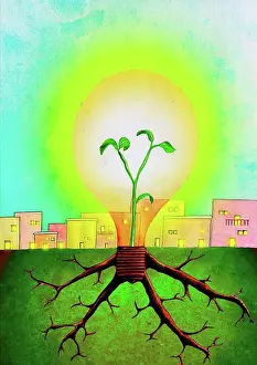 Ecological Prints: Plant growing inside of a light bulb, illustration