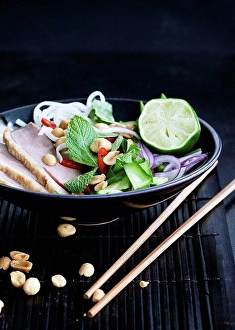 Tableware Prints: Plate of Vietnamese duck salad