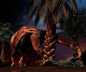 Illustration Prints: Plateosaurus was a plateosaurid dinosaur that lived during the Late Triassic period around 214 to 204 million years ago