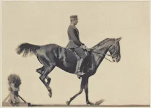 Item Prints: Platinotype photograph of a show rider captured by Ottomar Anschütz around 1890