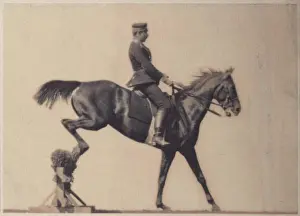 Item Prints: Platinotype photograph of a show rider captured by Ottomar Anschütz around 1890
