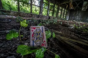 Union Prints: Playing cards lie scattered around an abandoned Soviet-era factory in Sukhum in Abkhazia