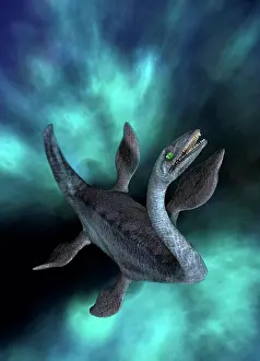 Mystery Prints: Plesiosaur, illustration