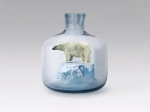 Global Warming Prints: Polar bear in jar with melting ice