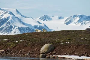 A polar bear (Ursus maritimus) sow and cub take a rest on Andoyane island in Liefdefjorden