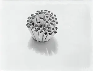 January Prints: Poll photo collection. Advertising photography
