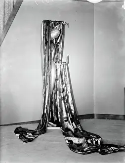 Poll photo collection. Fashion photography. Mannequin of the fa. IMANS with LAP brocade. 1933. France, Paris