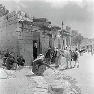 January Prints: Poll photo collection. Israel 1948-1949: Galilee