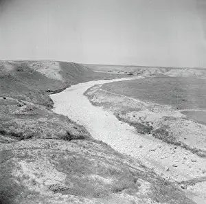 January Prints: Poll photo collection. Israel 1948-1949: Negevity