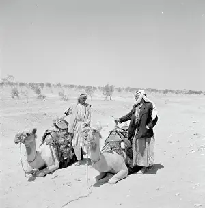 January Prints: Poll photo collection. Israel 1960-1965: Negevity