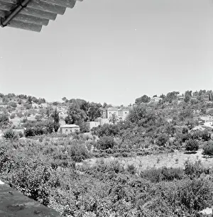 January Prints: Poll photo collection. Israel 1964-1965: Jerusalem (Jerusalem)