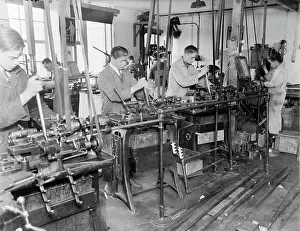 Manufacture Prints: Poll photo collection. Manufacture of varadine flushing set