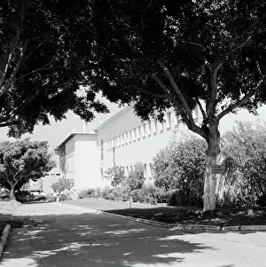 January Prints: Poll photo collection. Rehovot