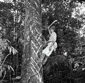 Suriname Prints: Poll photo collection. Travel to Suriname and the Netherlands Antilles