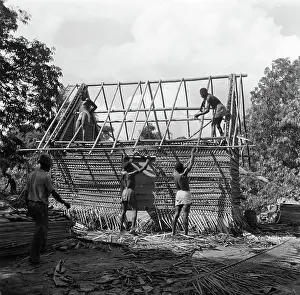 Suriname Prints: Poll photo collection. Travel to Suriname and the Netherlands Antilles