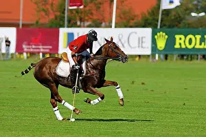 Movements Prints: Polo player, Polo tournament, Berenberg High Goal Trophy 2007