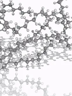 Computer Generated Imagery Prints: Polyethylene. Molecular model of the thermoplastic polymer polyethylene