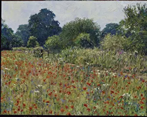 Poppy Field, Ampney Down Farm, Near Cirencester 1994 Charles Neal (b.1951/British) Oil on canvas