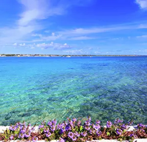 2016 Prints: Porto Cesareo beach Its marine protected areas thanks to the high biological value of its very rich