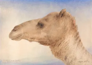 1862 Prints: Portrait Artist's Dromedary Elijah Walton 1832-1880