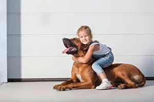 Sticking Out Tongue Prints: Portrait of cute girl sitting on dog outdoors