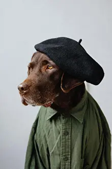 Joke Prints: Portrait of a dog dressed as a human