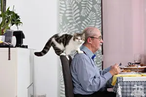 Gray Hair Prints: Portugal, Kitten climbing arm of man sitting at table