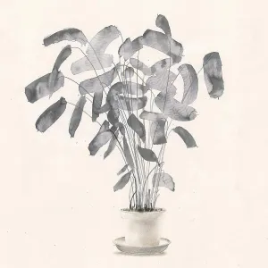Leaves Prints: Potted plant