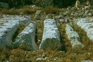 Prehistoric Prints: The prehistoric cart-ruts of Malta, 1974