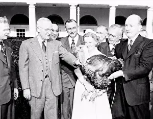 Thanks Giving Prints: president Harry Truman of the USA, pardons the thanksgiving turkey 1947