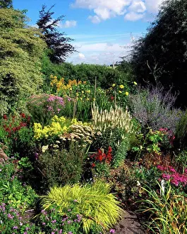 Leinster Prints: Primrose Hill, Lucan, Co Dublin, Ireland, Herbaceous border