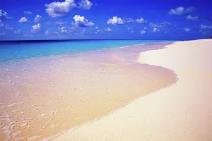 Tropical Prints: Pristine Beach