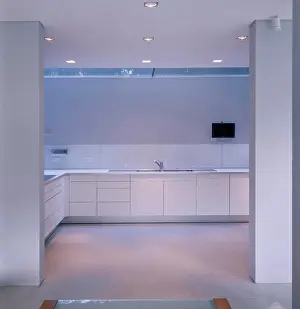 Countertop Prints: private house