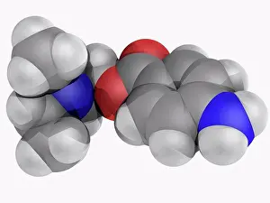 Matter Prints: Procaine novocaine, molecular model